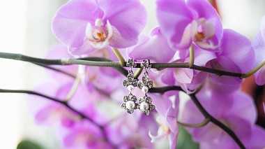 Videografo Роман Аберле da Shchuchinsk, Kazakhstan - Asen&Faina - uzatu, wedding