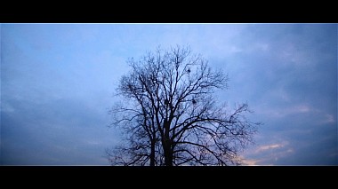 来自 利沃夫, 乌克兰 的摄像师 SUMMER STUDIO PRODUCTION - Live Motion | promo video, advertising, corporate video, event, musical video, showreel