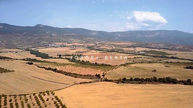 Valensiya, İspanya'dan The Wedding  Toon kameraman - JORGE+BERTA, düğün
