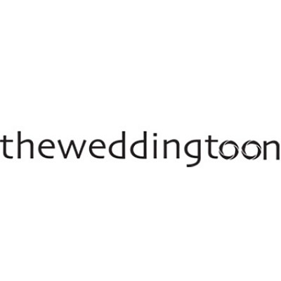 Videographer The Wedding Toon