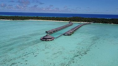 Videographer Dmitry Moskvitin from Stavropol, Russia - Wedding in Maldives, SDE, backstage, drone-video