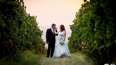 Videographer ABNormal Wedding from Rome, Italy - Francesca + Daniele, wedding