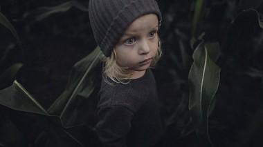 Tomsk, Rusya'dan maksim kostin kameraman - past summer ‘17, nişan, raporlama, çocuklar
