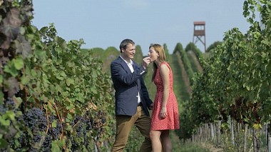 Videographer Jan  Trnka from Praha, Česko - Pavel + Terka Wedding Highlight, engagement, event, wedding