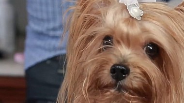 来自 库亚巴, 巴西 的摄像师 Rogerio Belmiro - Nossa felicidade se chama AMOR! {Ana Cláudia e Joaquim}, wedding