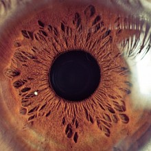 Videographer Ilia Parubenko