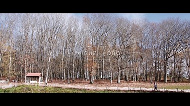 Videographer Miguel Lobo from Porto, Portugal - Tânia & Alexandre, wedding