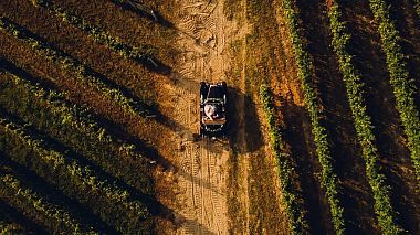 Videographer Piero Carchedi from Turin, Italy - Sara&Matteo, drone-video, engagement, event, showreel, wedding