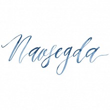 Videographer Navsegda Films