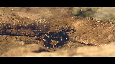 Videografo Rolea Bogdan da Galați, Romania - How You Like Me Now?, engagement, wedding