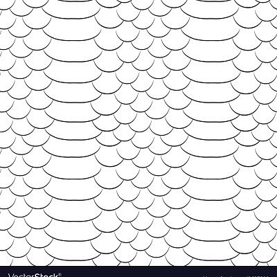 Videografo Алексей Новиков