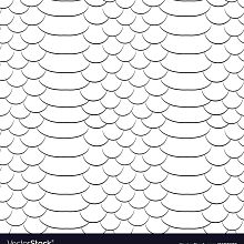 Videografo Алексей Новиков