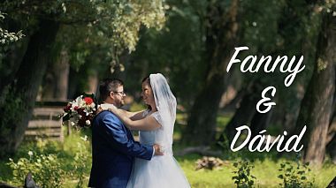 Videographer Sandor Menyhart from Budapest, Hungary - F&D - Wedding Highlights, wedding