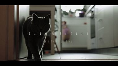 来自 特尔戈维什泰, 罗马尼亚 的摄像师 Stefan Mihaila - Dana & Razvan, event