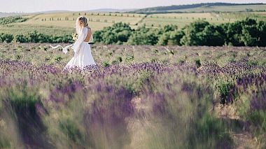 Videographer svadbography .ru from Krasnodar, Russia - Виталий и Евгения / Лимоны и Бэтмэн, event, wedding