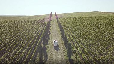 Videographer svadbography .ru from Krasnodar, Rusko - SDE // Михаил и Анна, SDE, wedding