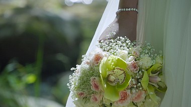 Videographer Flavius Radu from Temešvár, Rumunsko - Diana & Cristi, corporate video, drone-video, musical video, wedding