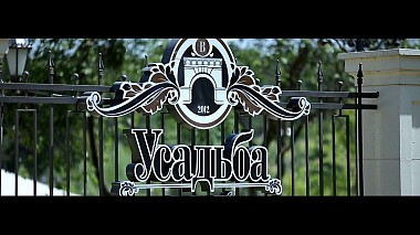 Videographer Alexei Tsygalov from Moskva, Rusko - Владимир и Виктория, wedding