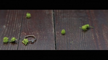 Videographer Alexei Tsygalov from Moskva, Rusko - Видеоподарок M&P, engagement, wedding