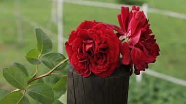 Videographer Adam Trzaskalski đến từ Trailer - Agata+Arek, wedding