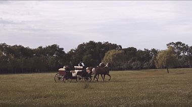 Videographer Mate Bodza from Budapest, Hungary - Gréta & Máté - Wedding film, wedding