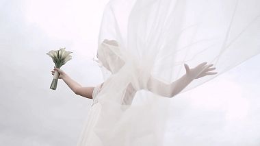 Βιντεογράφος Alexandr Frolov από Μόσχα, Ρωσία - Roman Victoria, engagement, reporting, wedding