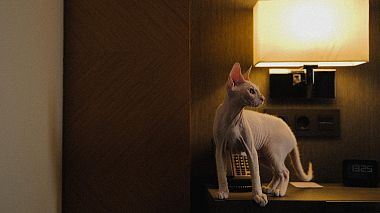 Videografo Aesthetic Wedfilm da Kazan, Russia - T|A, engagement, reporting, wedding