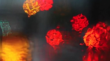 Videographer Sergio Gallegos from Alicante, Spanien - Reel // Weddings 2016 sergiogallegos.com, wedding