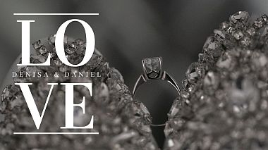 Videographer FilmEvents by Burza from Timisoara, Romania - Denisa & Daniel, drone-video, wedding