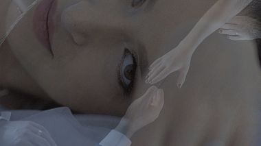 Videographer FilmEvents by Burza from Timisoara, Romania - Daiana & Robert, drone-video, wedding