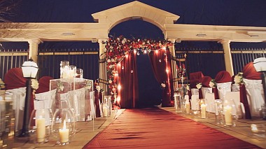 Videographer Sergey Savinski from Odessa, Ukraine - Аля и Миша SDE, SDE, drone-video, event, wedding