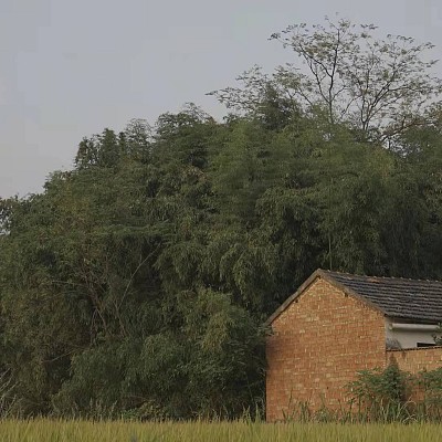 Videographer yang yang