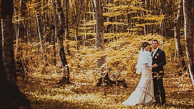 来自 莫斯科, 俄罗斯 的摄像师 Vitaliy Kramarenko - Золотая пора, engagement, event, musical video, reporting, wedding