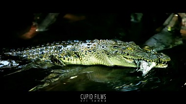 Videographer Alex Cupid from Odessa, Ukraine - Sri Lanka, reporting