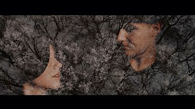 Videographer Alex Cupid from Odessa, Ukraine - Wedding video.Daniel & Anastasia/Winter & Summer., wedding