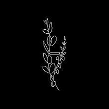 Videographer Nano Montero