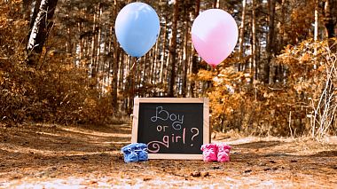 来自 利佩茨克, 俄罗斯 的摄像师 Evgenii Volodin - Gender - Party, wedding