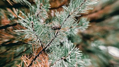 Videographer Ruslan Hairullin from Kazan, Russia - Sincerity, wedding