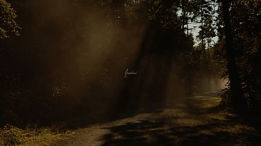 Videograf Andrei Dumitru din Arad, România - Wedding day Vanessa & Tim, nunta