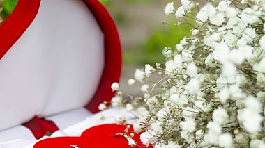 Videographer Daniel  Kozlov from Belgorod, Russia - Cвадебный клип Светланы и Евгения, wedding