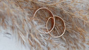 Videographer Alexader Tur from Moscow, Russia - И&Т, wedding