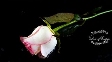 Videographer Alexader Tur from Moscow, Russia - D&A, wedding