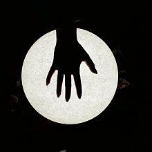 Videographer Filminger Adam Lipton