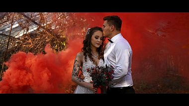 Videographer Pawel Stec from Stalowa Wola, Polen - Wesele w Pałacu Królewskim, drone-video, musical video, reporting, training video, wedding