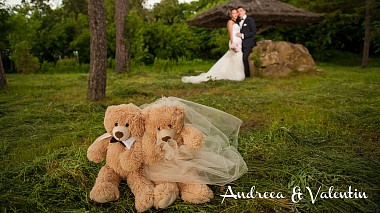 Videographer Ciprian Babusanu from Bacau, Romania - Andreea & Valentin, wedding