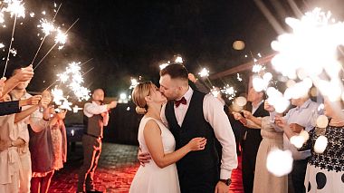 Videographer Alex Suhomlyn from Vídeň, Rakousko - A small wedding outside the city, wedding