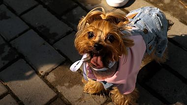 来自 莱比锡, 德国 的摄像师 Artem Abanshyn - I&N, SDE, backstage, engagement, musical video, wedding