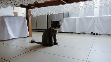 Видеограф Ирина Жечкова, Кишинев, Молдова - Anton&Katya, event, wedding