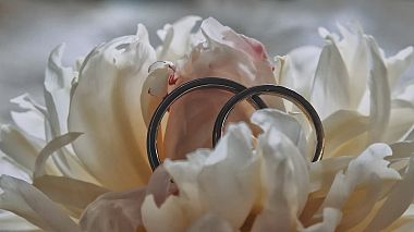 Videographer Zet  Art from Cluj-Napoca, Romania - Videoclip Intro, wedding