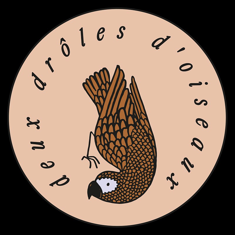 Videographer Deux drôles D’oiseaux